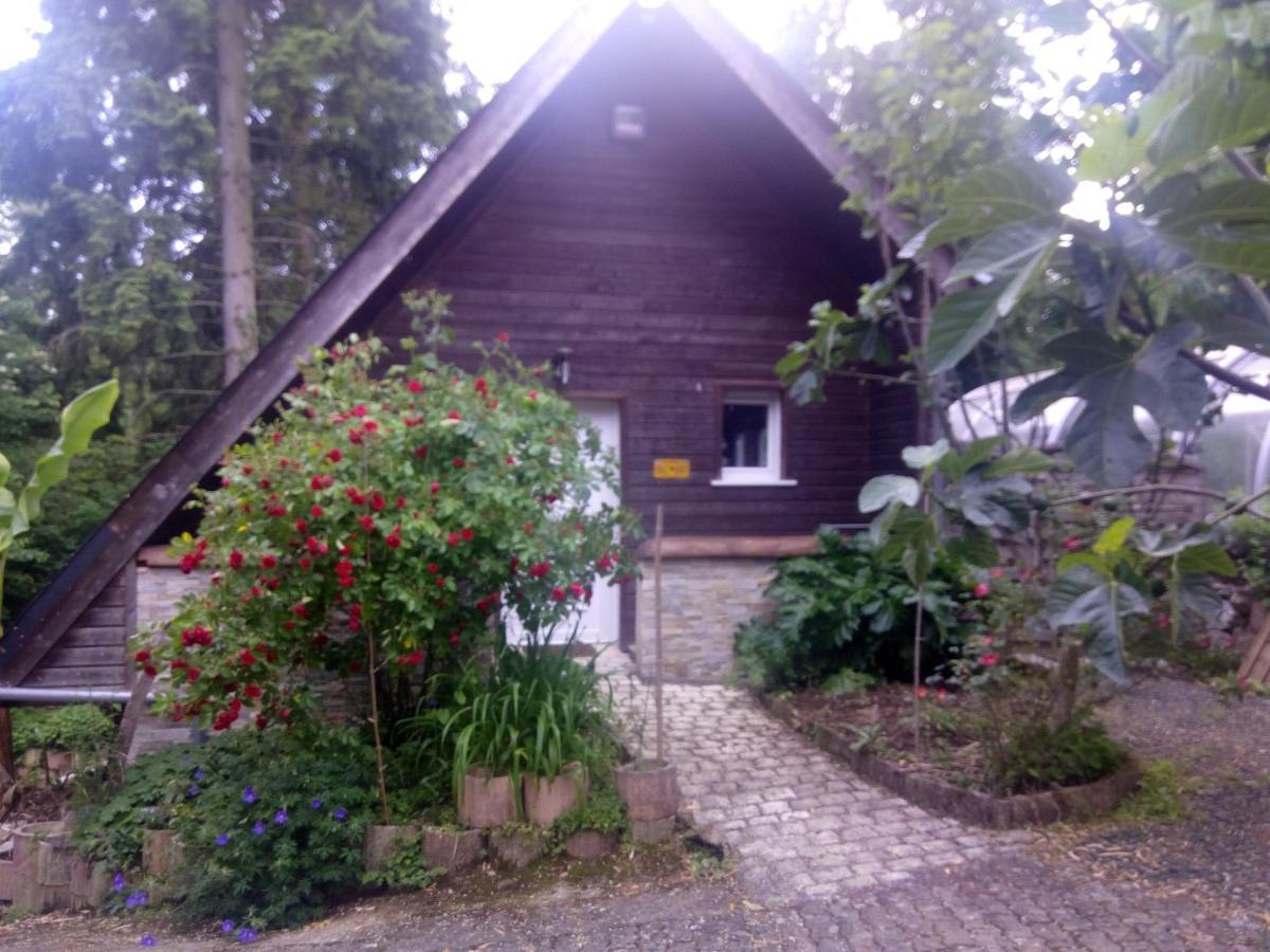 Maison Bois Alaska Rochecorbon Extérieur photo